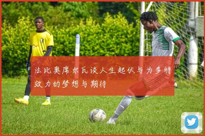 法比奥席尔瓦谈人生起伏与为多特效力的梦想与期待