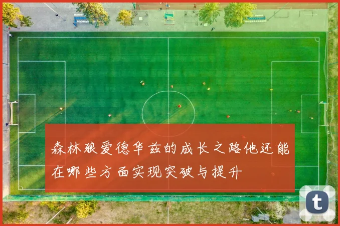 森林狼爱德华兹的成长之路他还能在哪些方面实现突破与提升